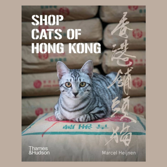 Shop Cats of Hong Kong