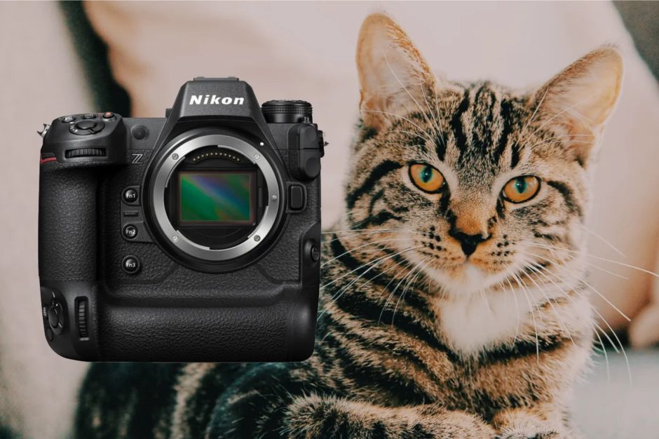 Nikon questions / réponses sur le D800 puis prise en main