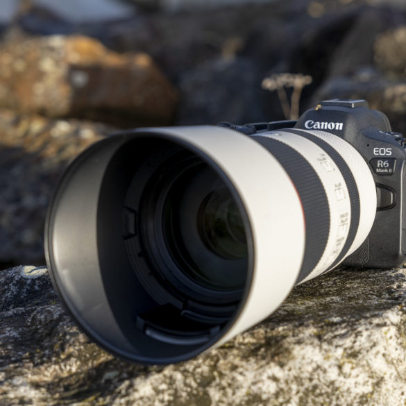 Phototrend prise en main Canon EOS R6 Mark II