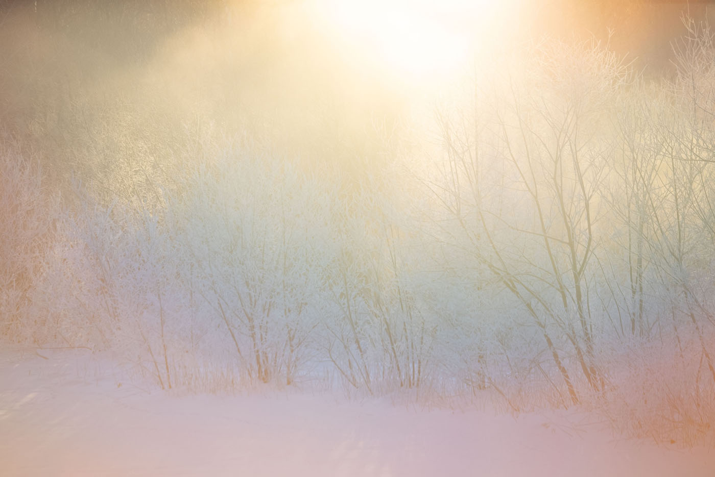 Rinko Kawauchi