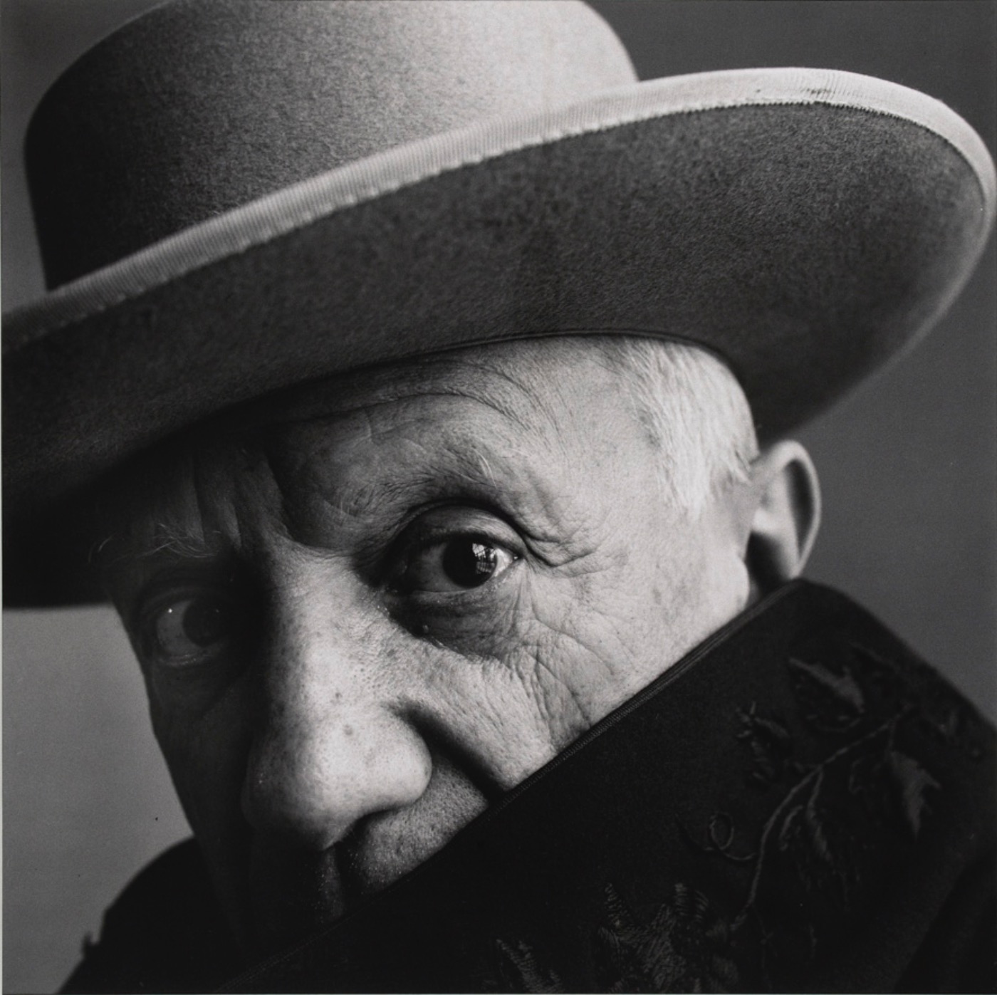 Pablo Picasso par Irving Penn