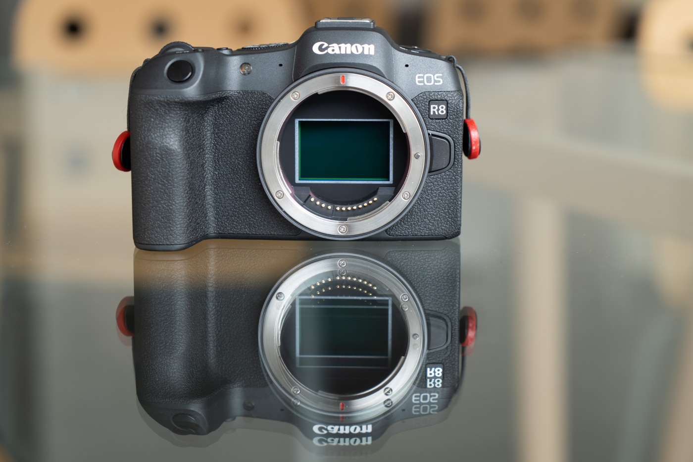 Test Phototrend Canon EOS R8