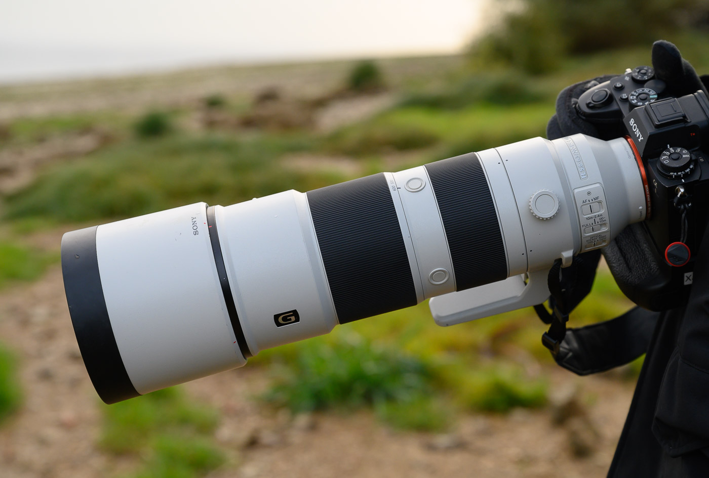 Sony FE 200-600 mm f/5,6-6,3 G OSS 