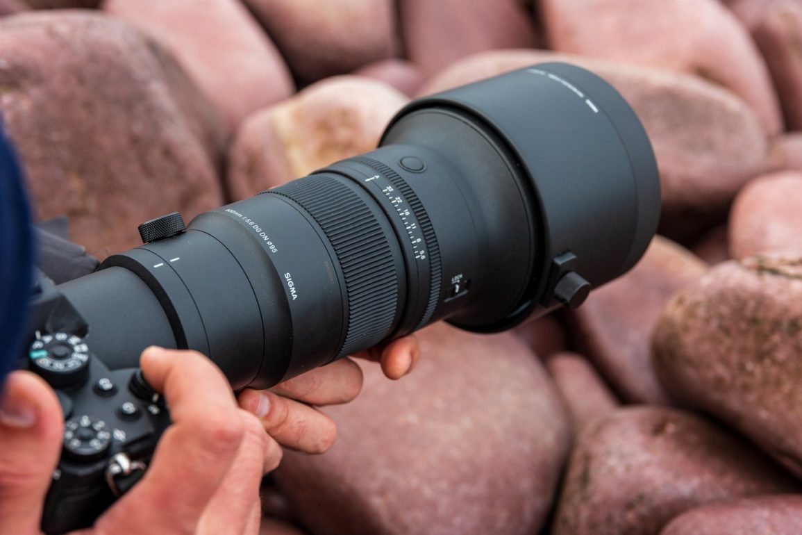 Sigma 500 mm f/5,6 DG DN OS Sports : un long téléobjectif idéal pour l’animalier