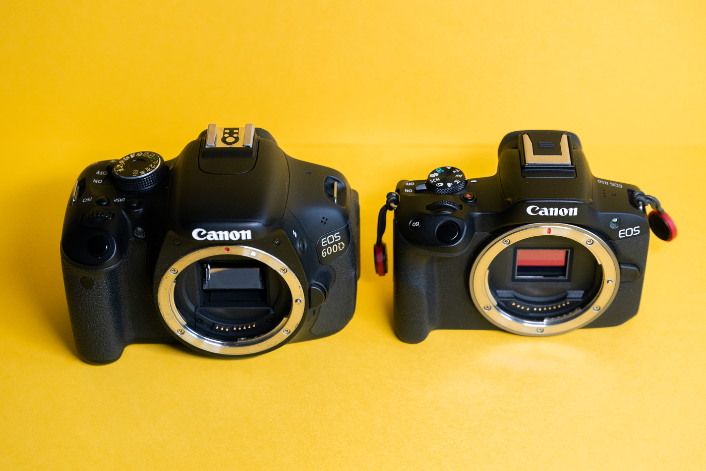Test Canon EOS R50 Phototrend