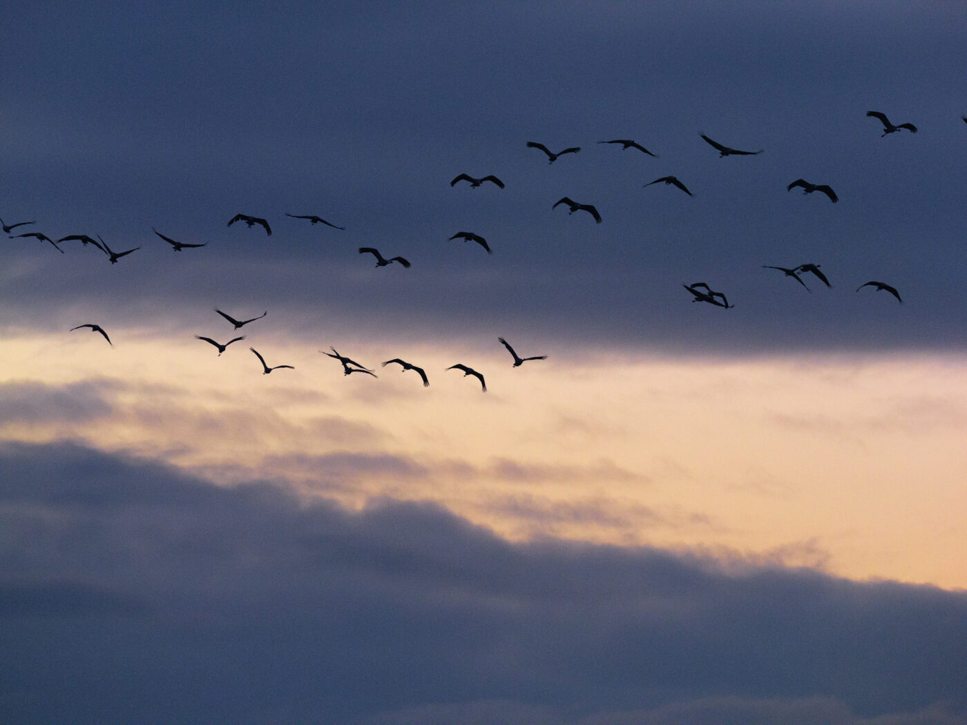 Test Fujinon GF 500 mm f/5,6 R LM OIS WR Phototrend