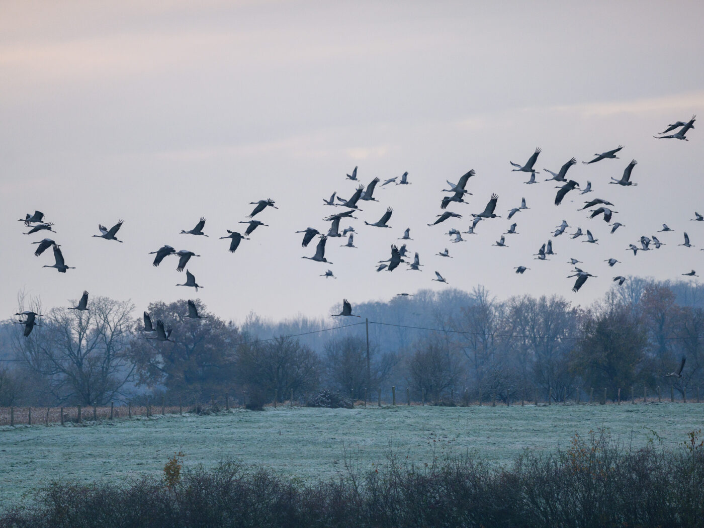 Test Fujinon GF 500 mm f/5,6 R LM OIS WR Phototrend