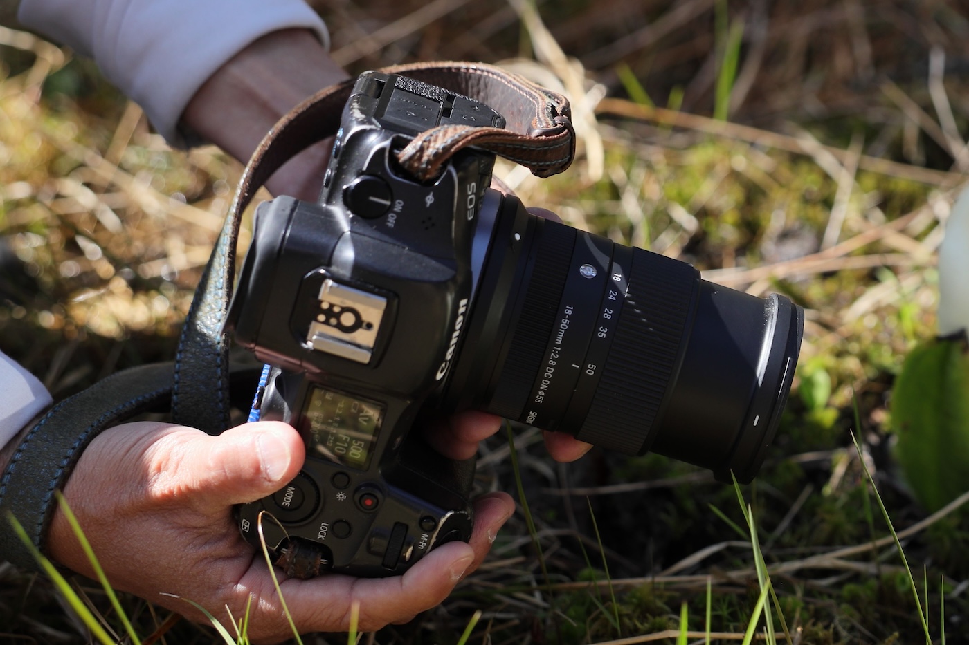 Sigma 18-50 mm f/2,8 DC DN Contemporary : un zoom APS-C bienvenu