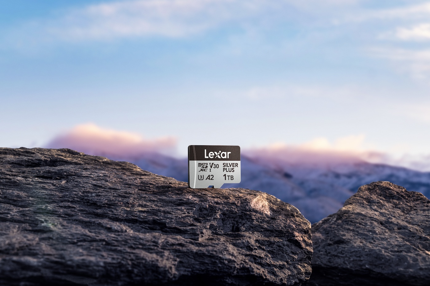 Lexar Professional Silver