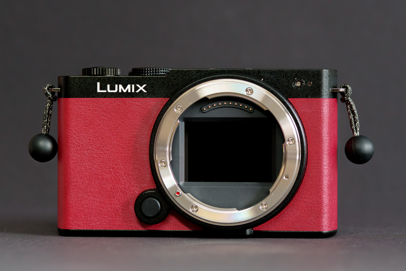 test Panasonic Lumix S9