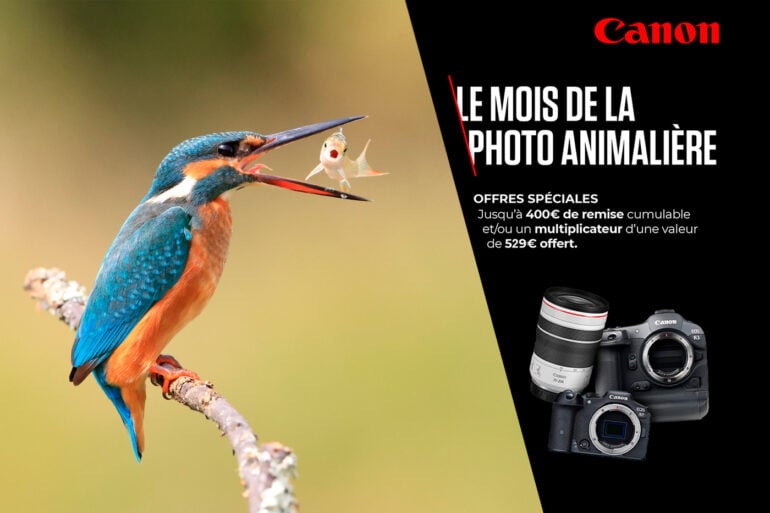 ODR Canon photo animalière