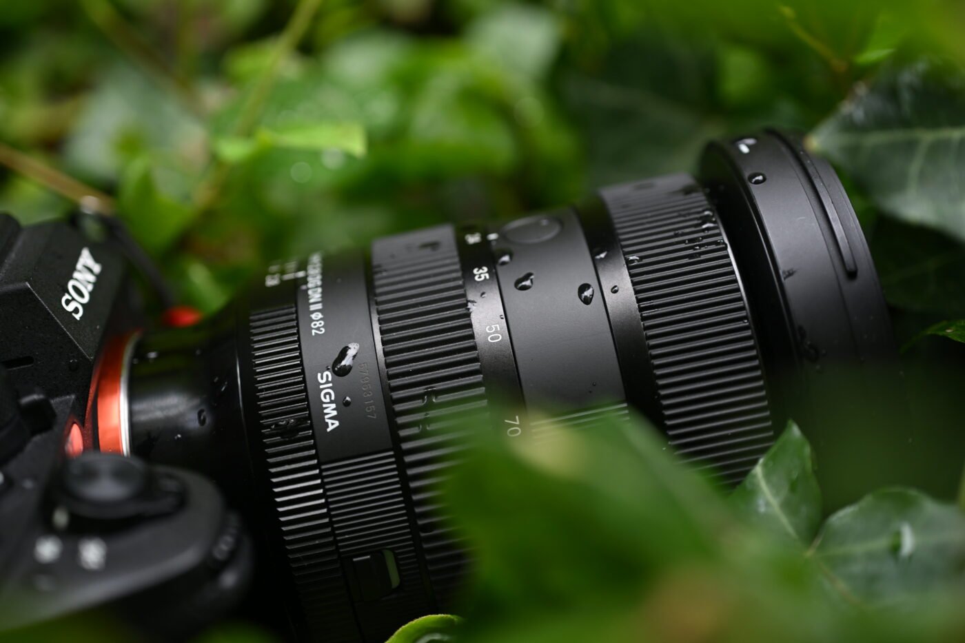 Sigma 24-70 mm f/2,8 DG DN II Art