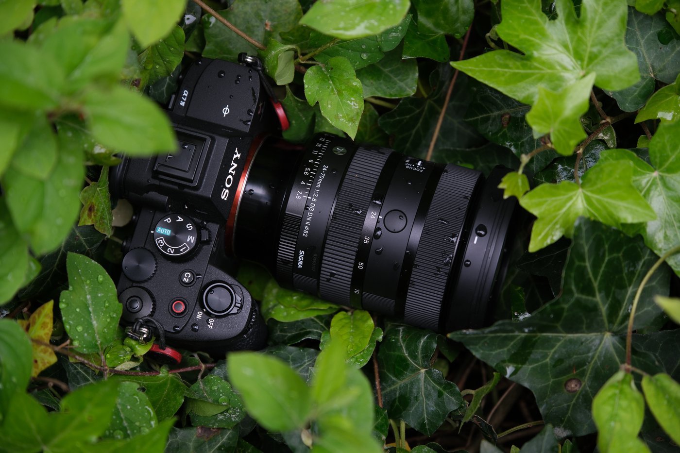 Sigma 24-70 mm f/2,8 DG DN II Art