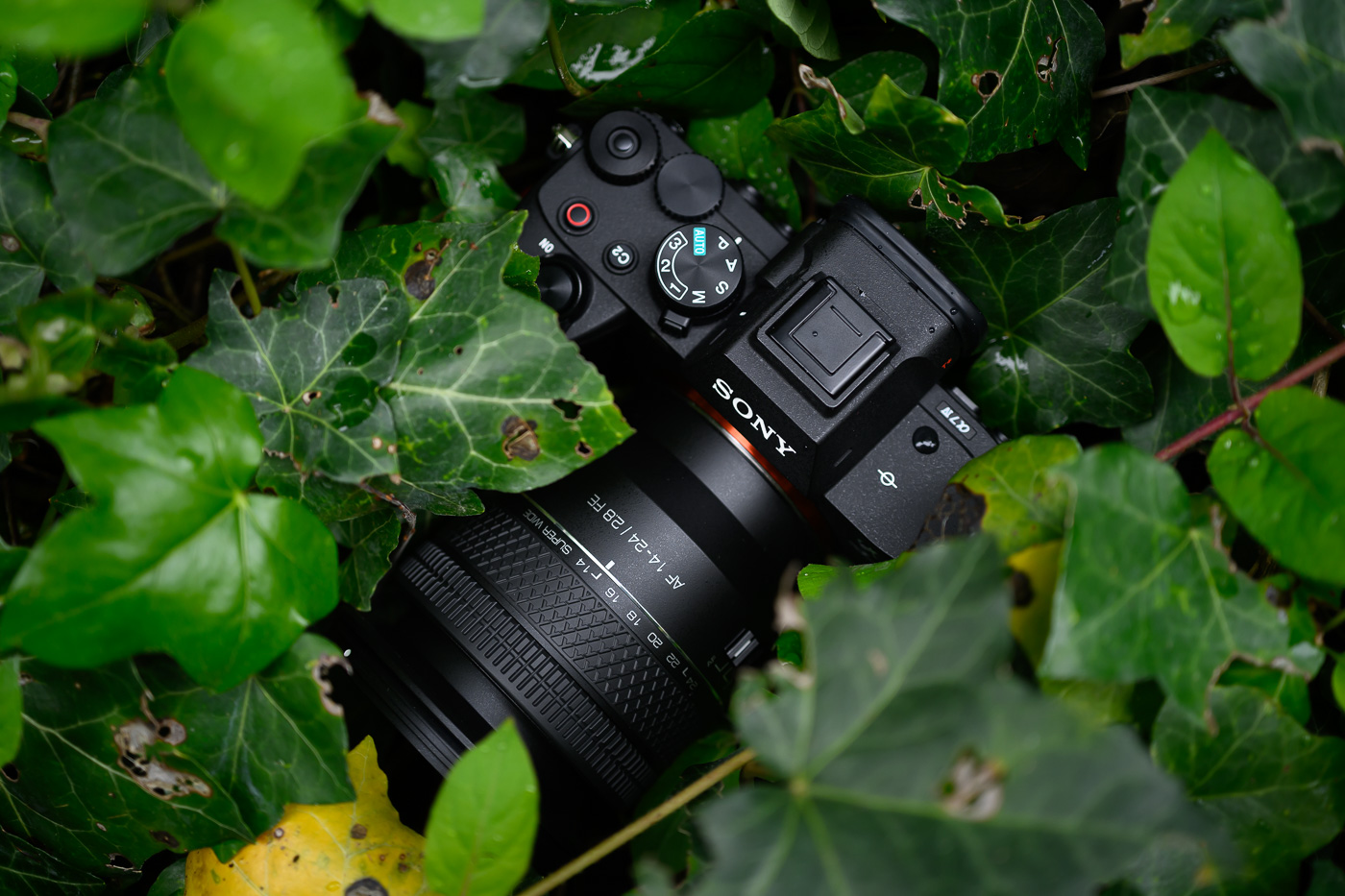 Samyang AF 14-24 mm f/2,8 FE
