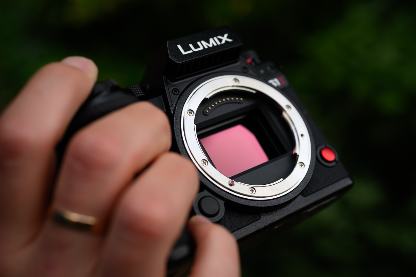 Panasonic Lumix S1 II