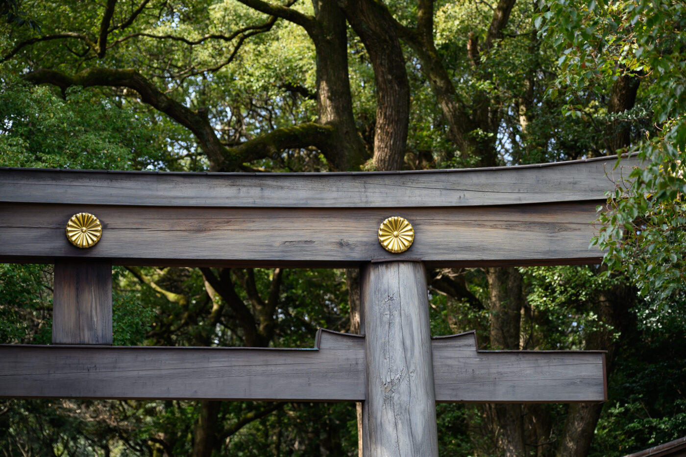 Test Nikkor Z 24-120 mm f/4 S Phototrend
