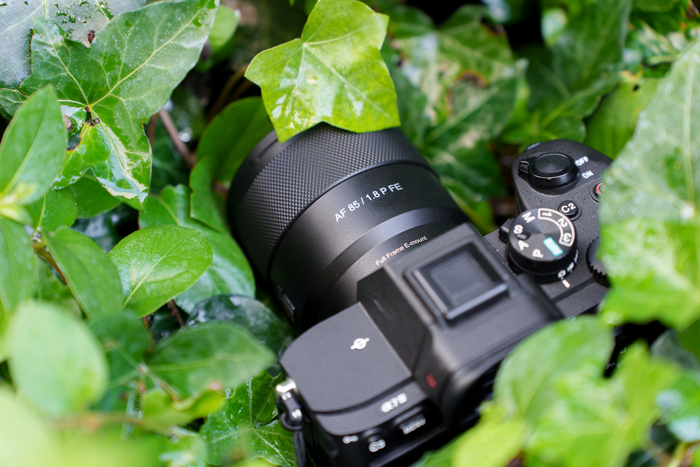 Test Samyang AF 85 mm f/1,8 P FE