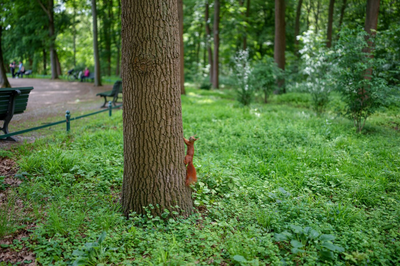 Test Viltrox AF 35 mm f/1,2 LAB FE Phototrend