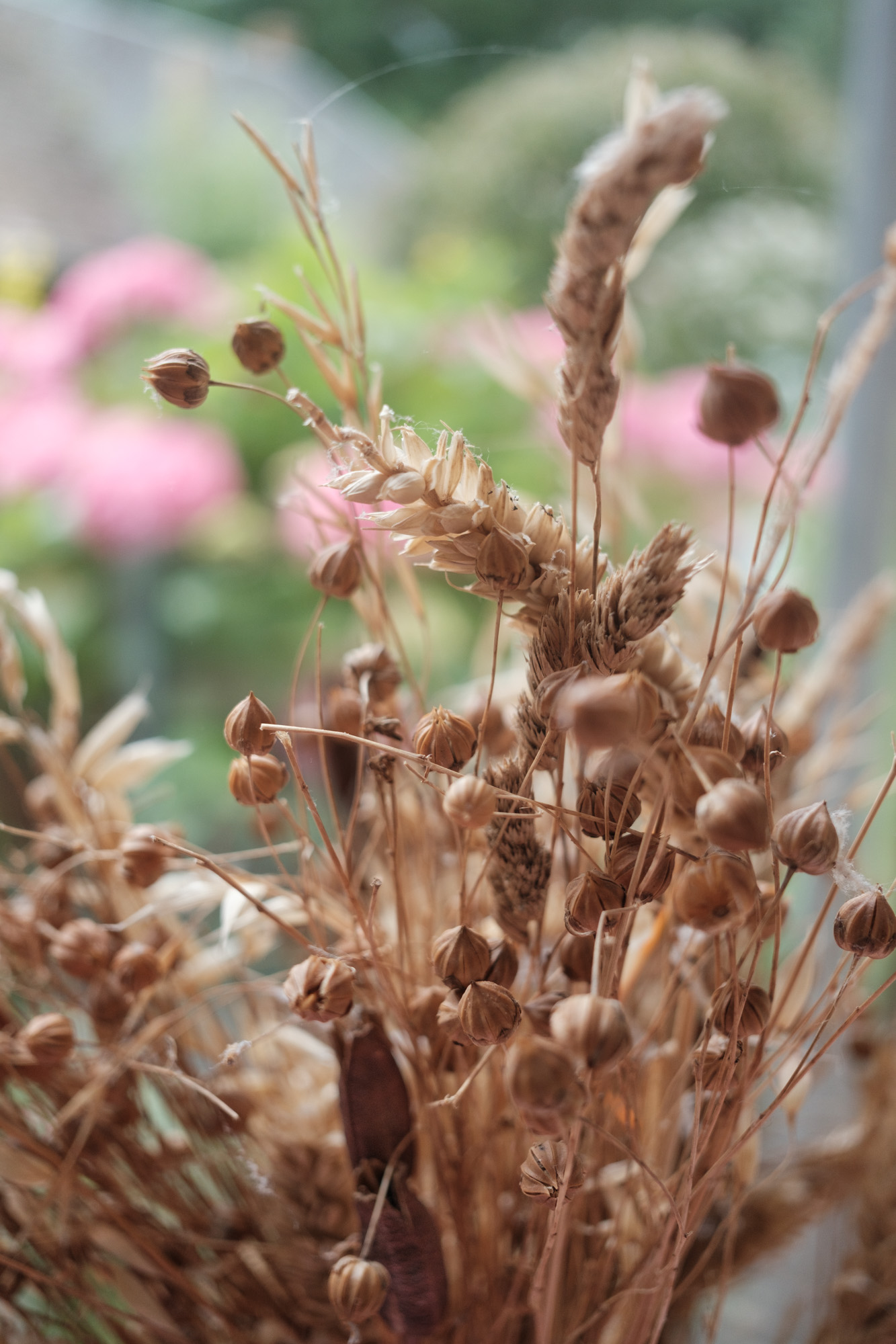 Test Fujinon XF 23 mm f/2,8 R WR Phototrend