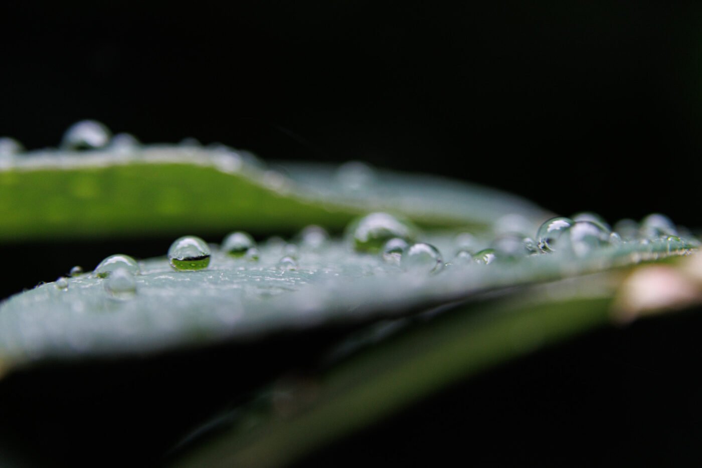 Test Sigma 16-300 mm f/3,5-6,7 DC OS Contemporary Phototrend