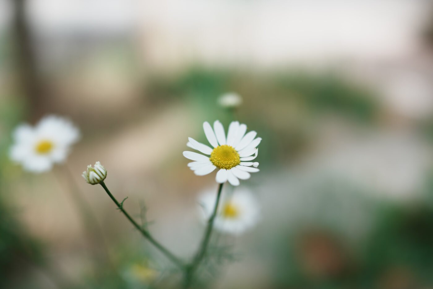 Test Sony RX1R III