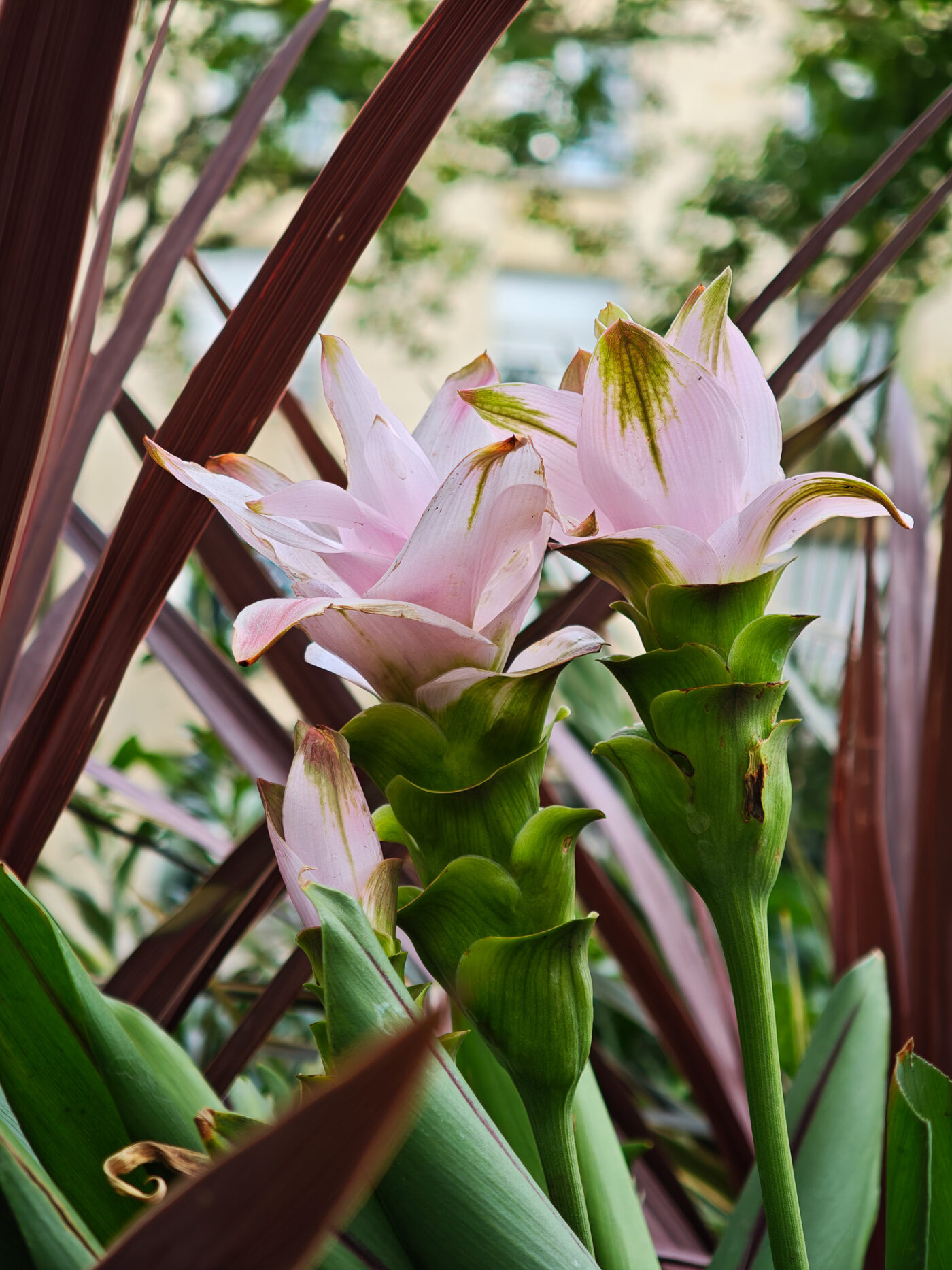 Test Xiaomi 15 Ultra Phototrend