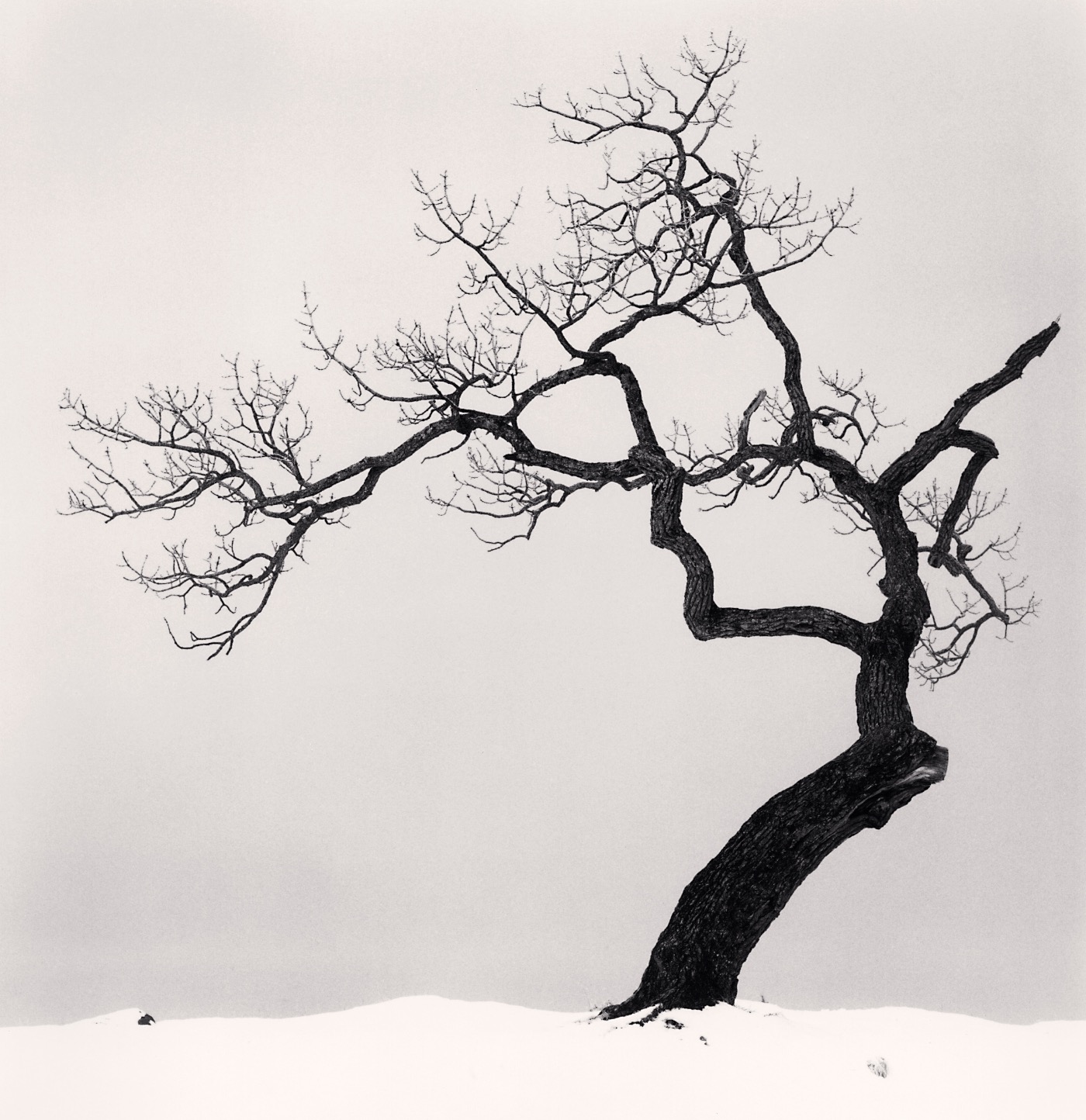 Michael Kenna