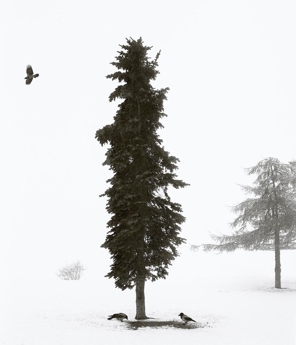 Pentti Sammallahti