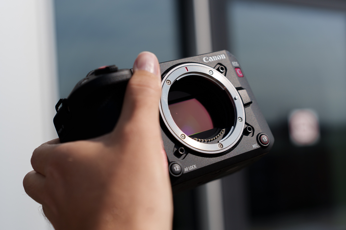 Canon EOS C50