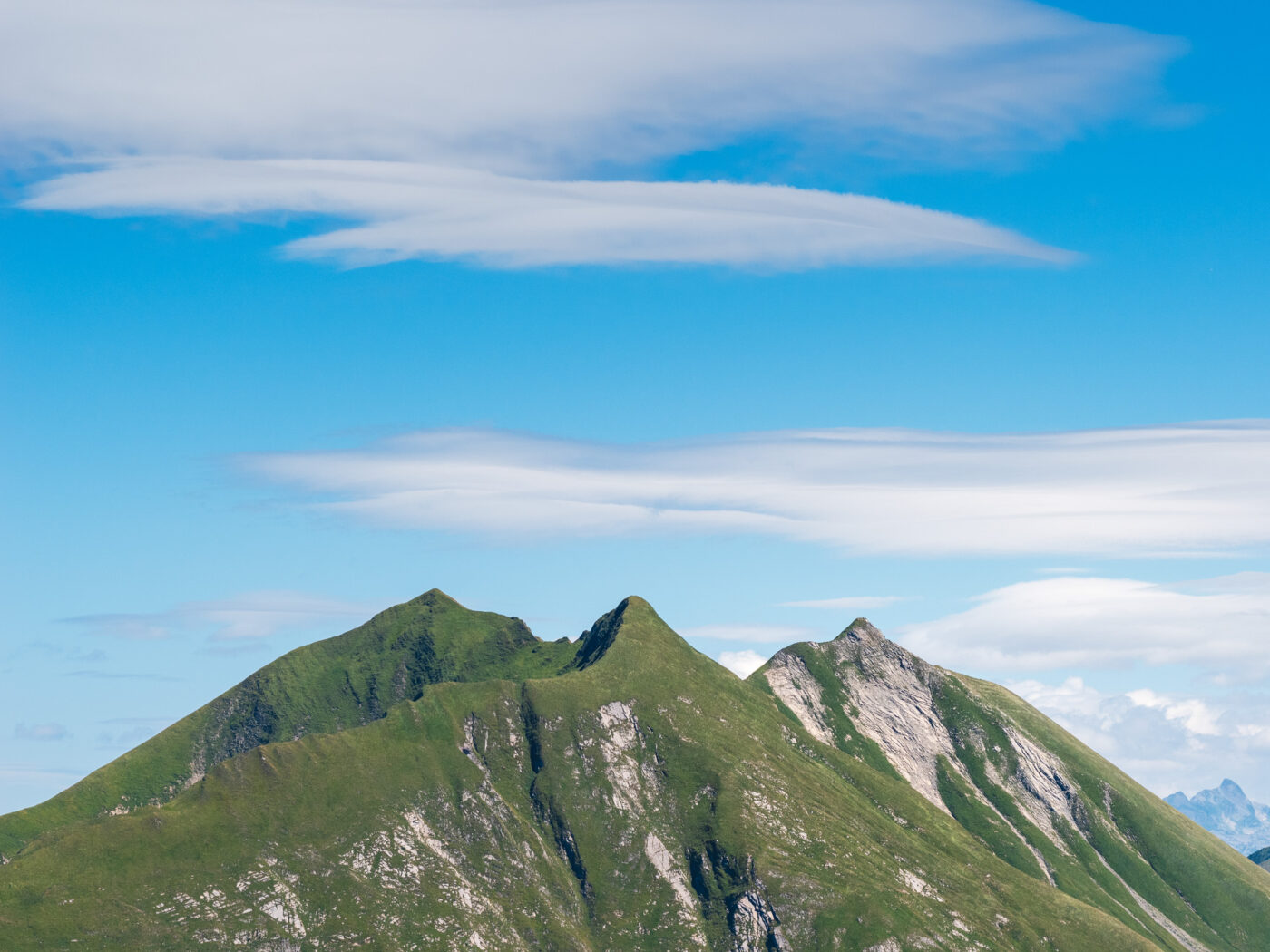 Olympus M.Zuiko Digital ED 75 mm f/1,8