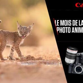 ODR Canon Mois Photo Animalière 2025