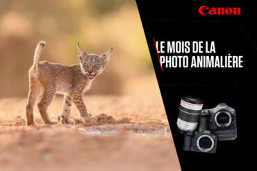 ODR Canon Mois Photo Animalière 2025