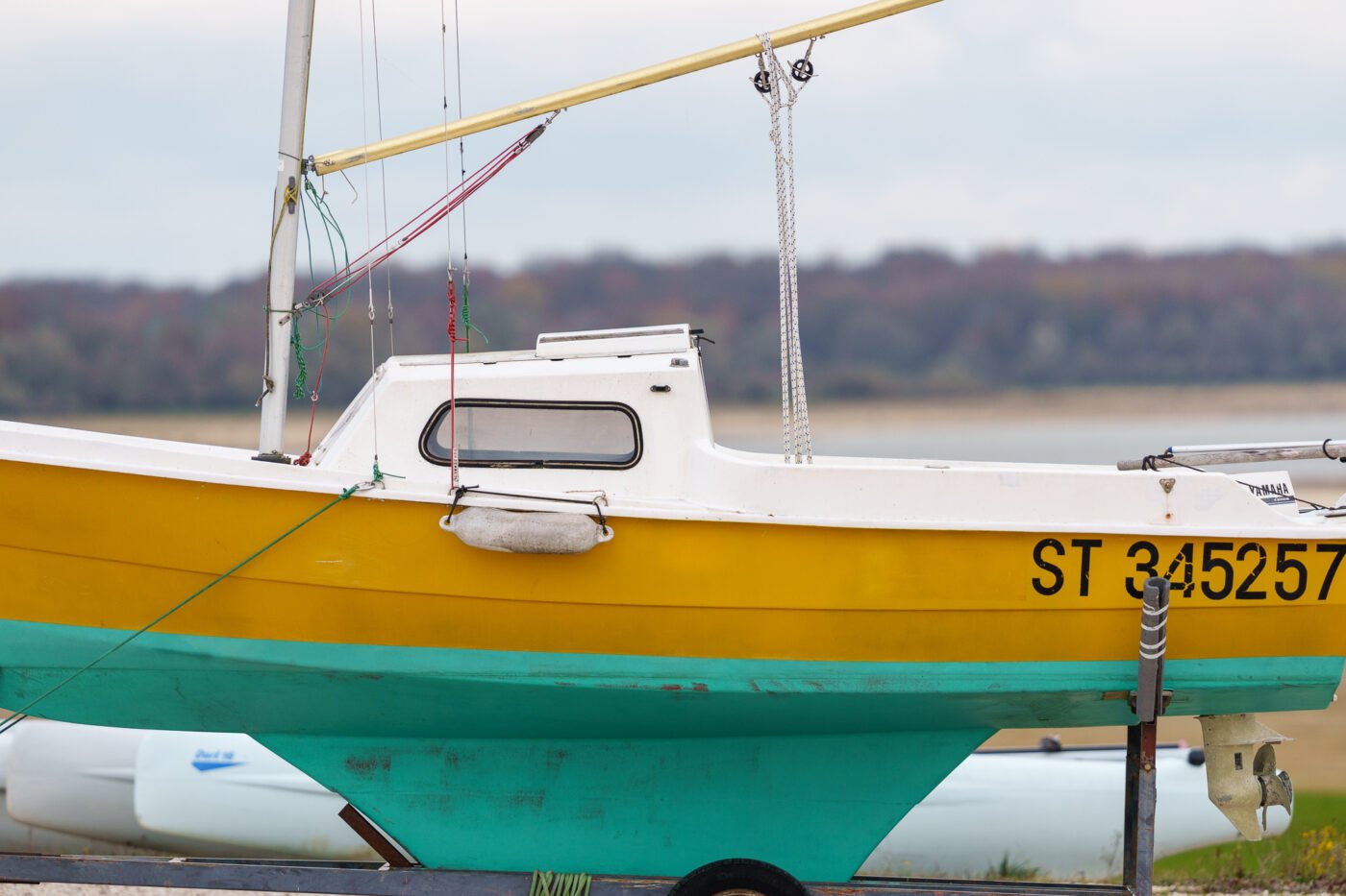 Sigma 300-600 mm f/4 DG OS Sports