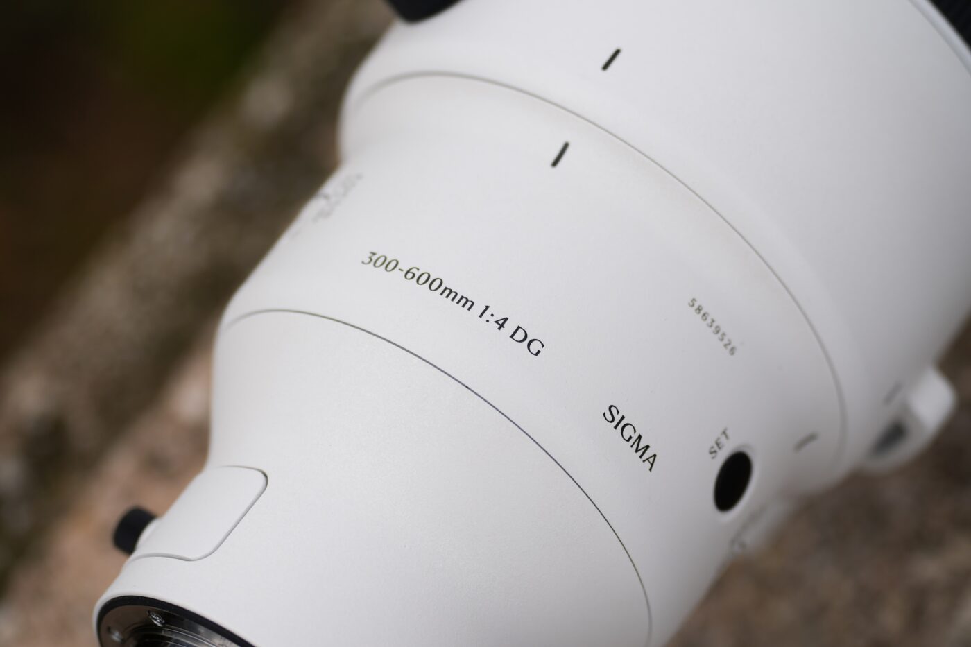 Sigma 300-600 mm f/4 DG OS Sports
