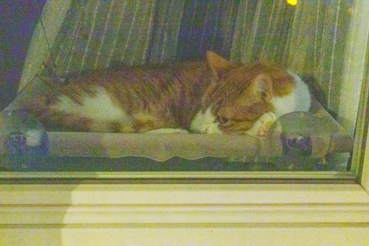 Canon EOS R6 Mark III hauts ISO