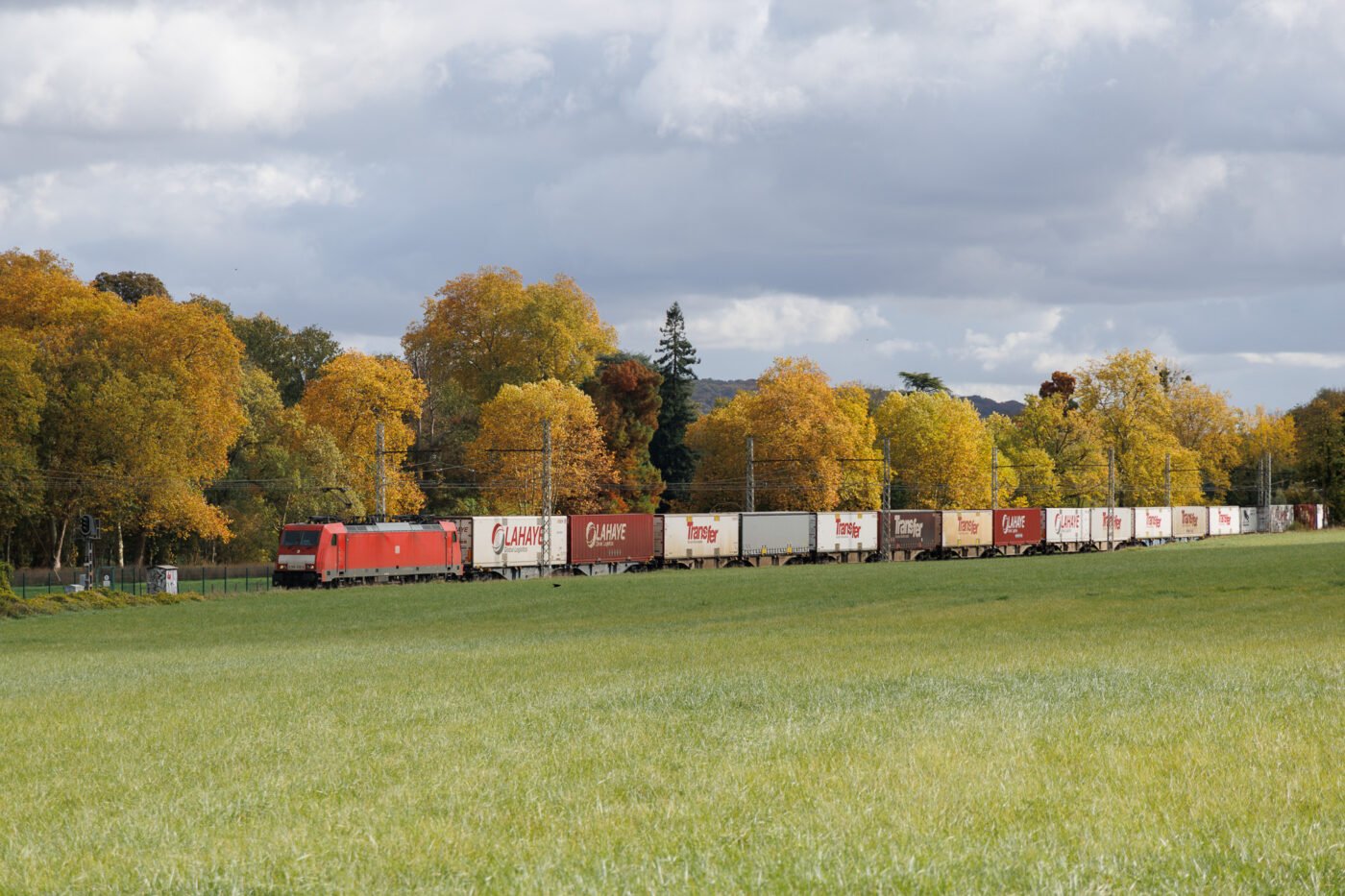 Test Canon EOS R6 Mark III Phototrend