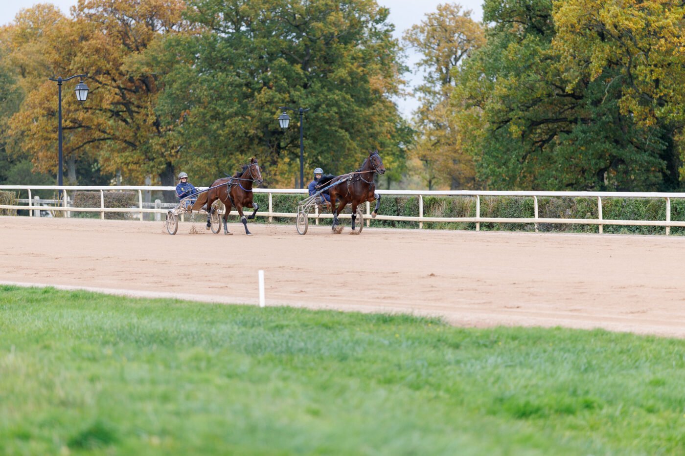 Test Canon EOS R6 Mark III Phototrend