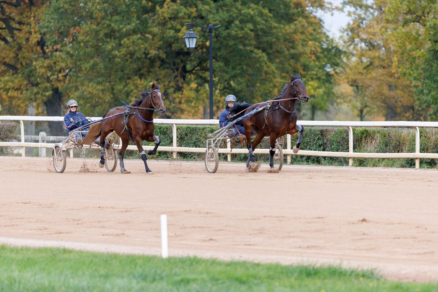 Test Canon EOS R6 Mark III Phototrend