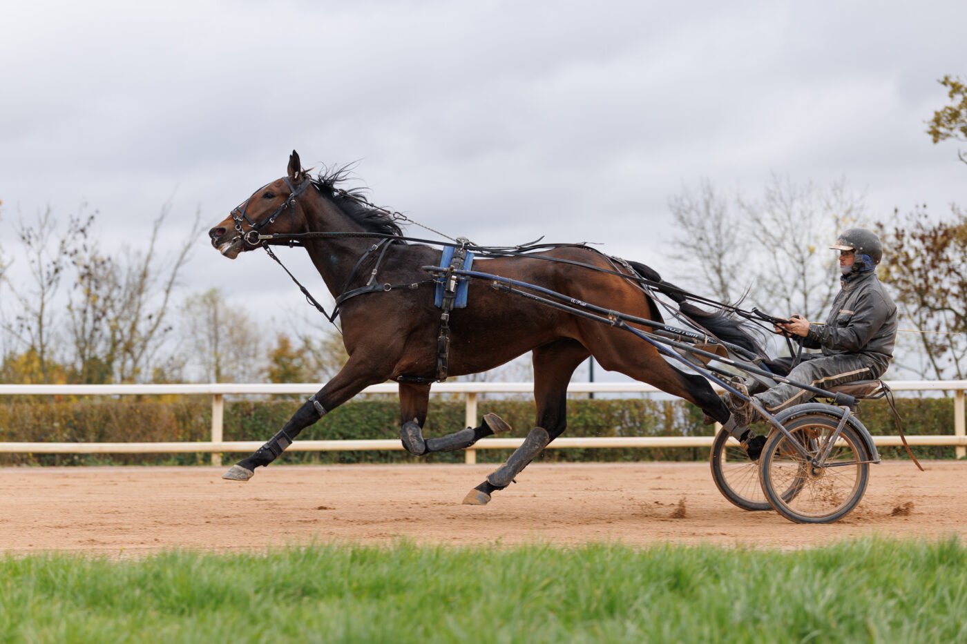 Test Canon EOS R6 Mark III Phototrend