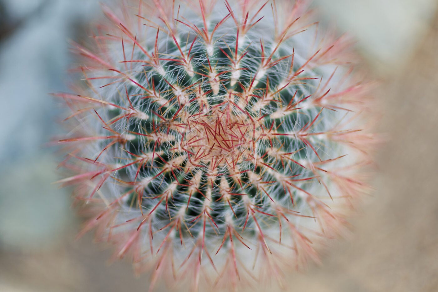 Test Canon RF 45 mm f/1,2 STM Phototrend