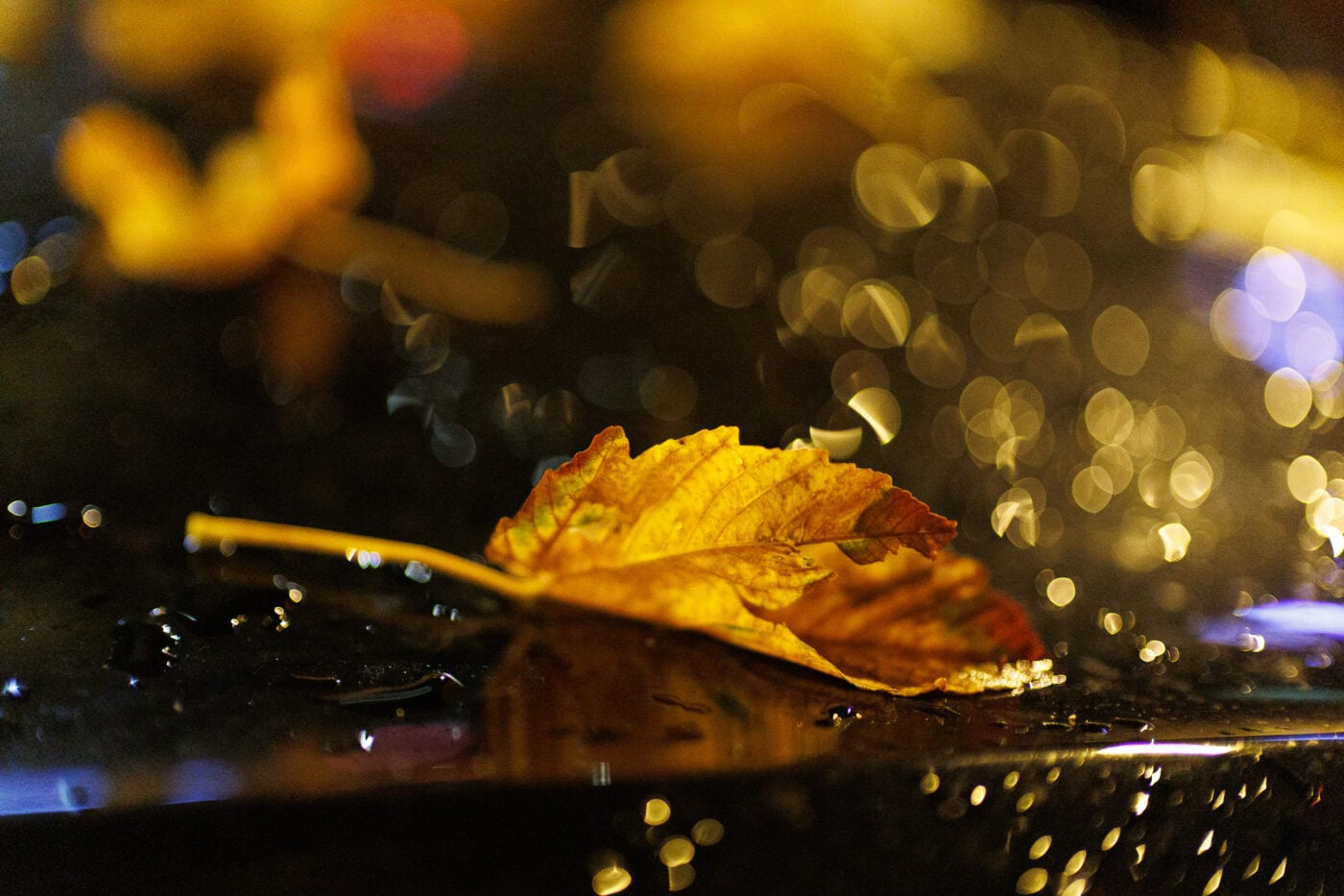 Test Canon RF 45 mm f/1,2 STM Phototrend