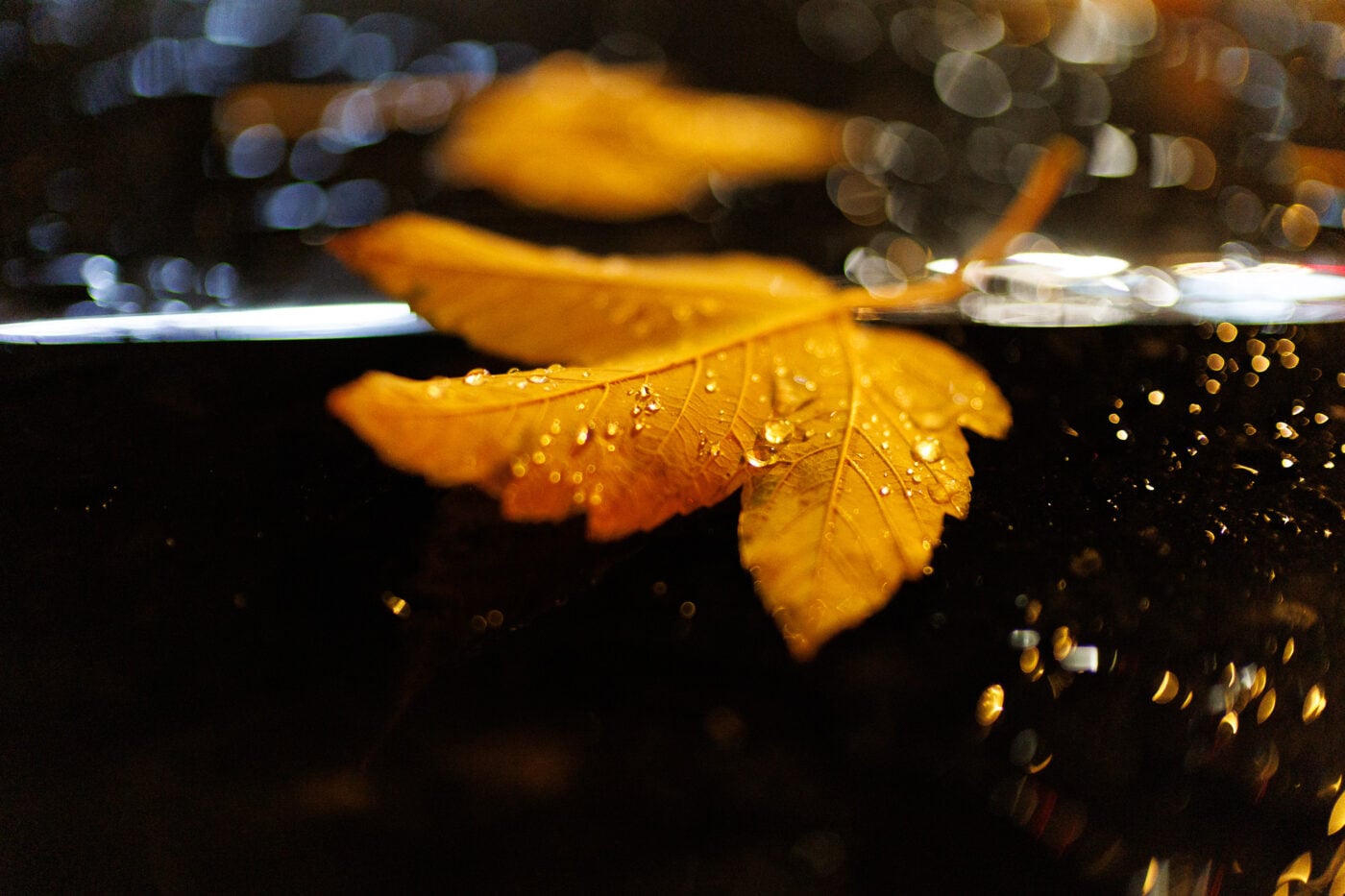 Test Canon RF 45 mm f/1,2 STM Phototrend