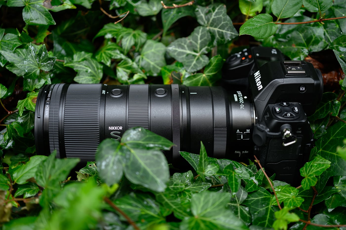 Test Nikkor Z 70-200 mm f/2,8 VR S II