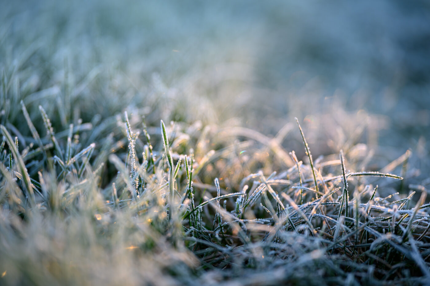 Test Viltrox AF 85 mm f/2 Evo