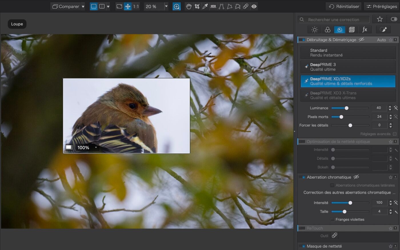 Test DxO PhotoLab 9 Phototrend