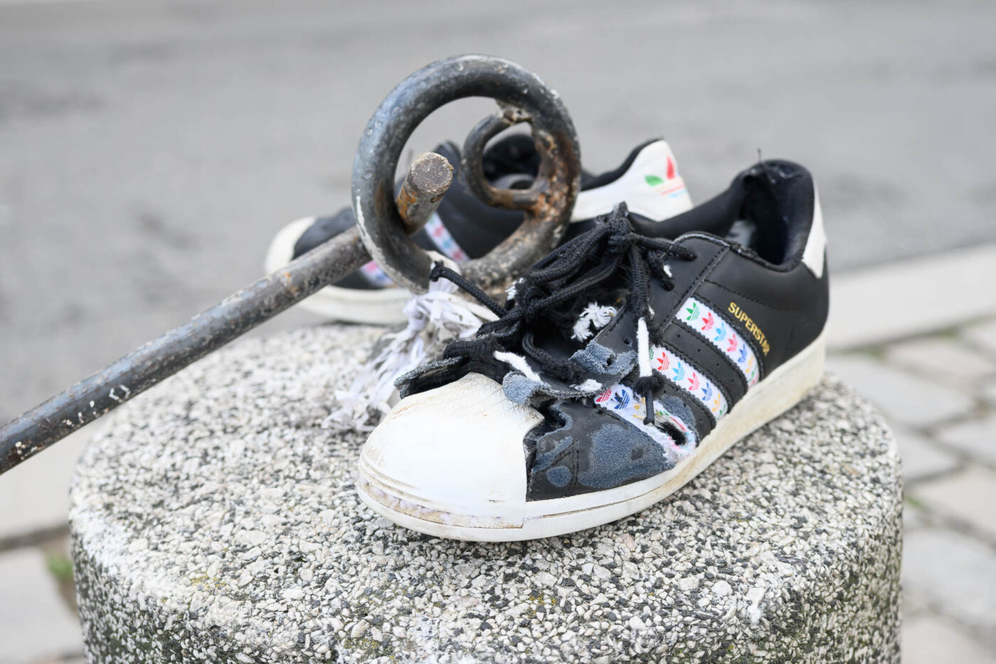 Test Nikkor Z DX 16-50 mm f/2,8 VR Phototrend