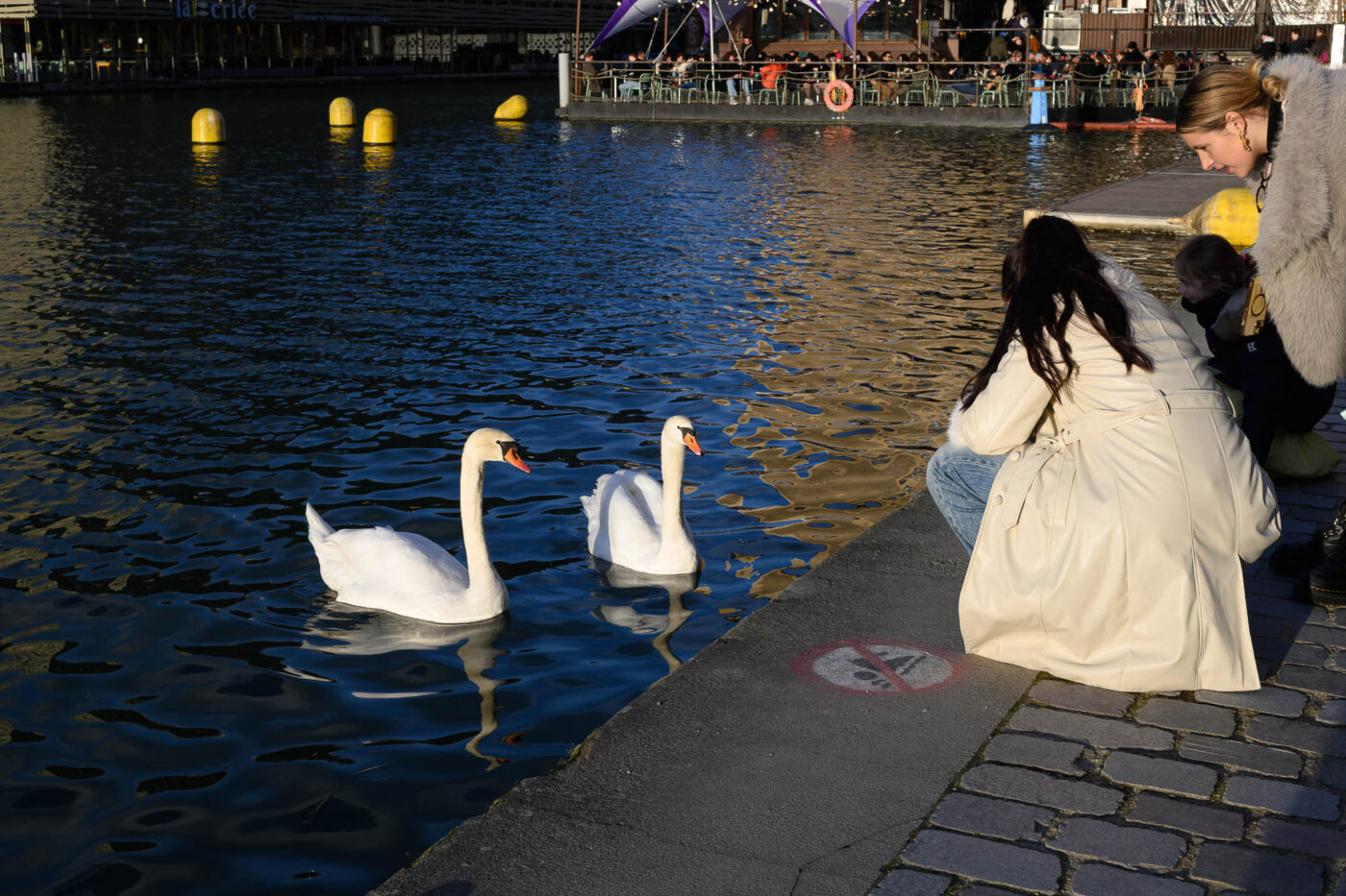 Test Nikkor Z DX 16-50 mm f/2,8 VR Phototrend