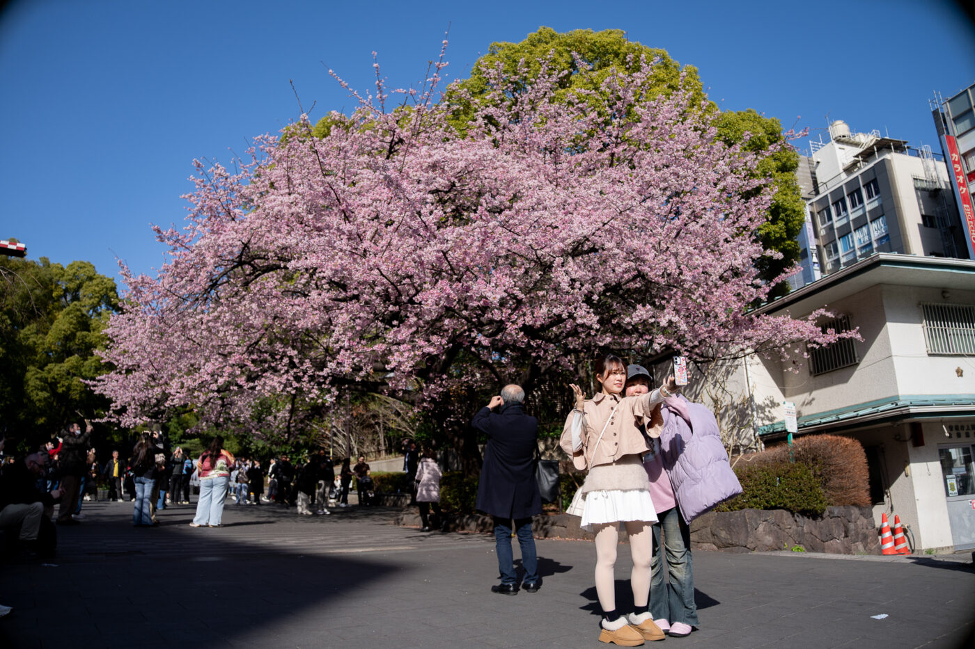 Test Samyang AF 24-60 mm f/2,8 FE