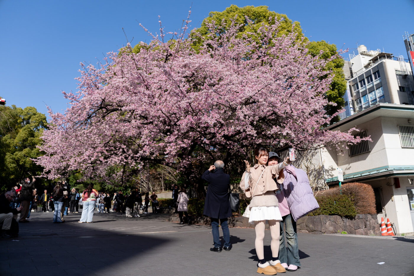 Test Samyang AF 24-60 mm f/2,8 FE