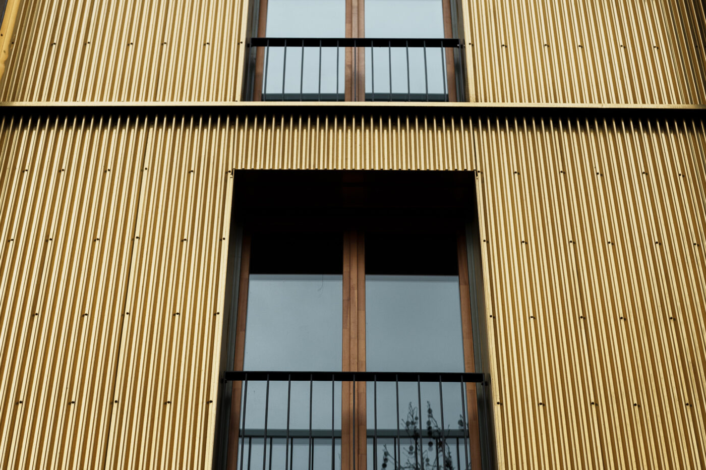 Test SongRaw AF 50 mm f/1,2 Moonlit FE